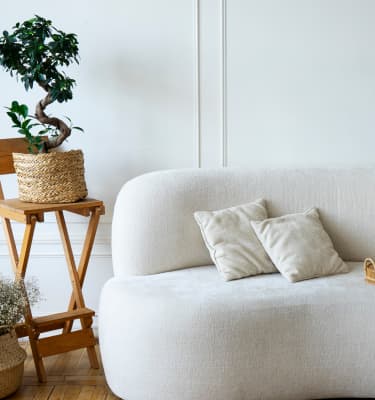 Light gray sofa with pillows and a vase on the side