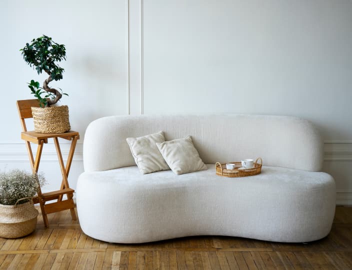 Light gray sofa with pillows and a vase on the side